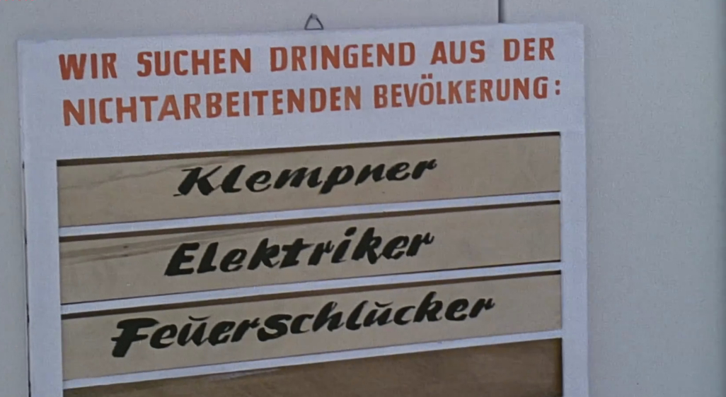 Wie füttert man einen Esel Wie füttert man einen Esel
