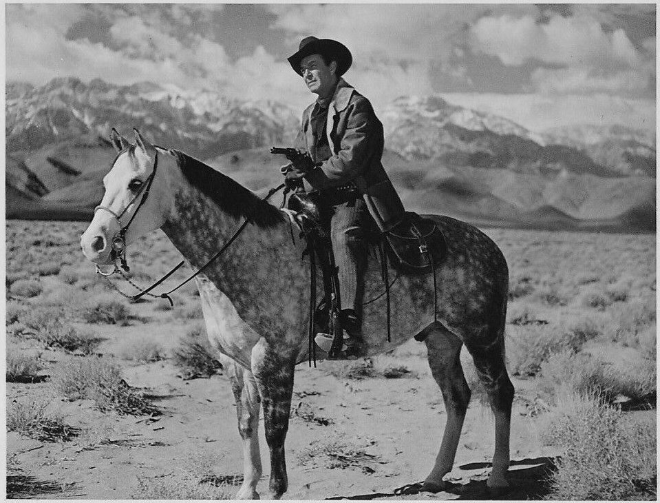 Robert Taylor