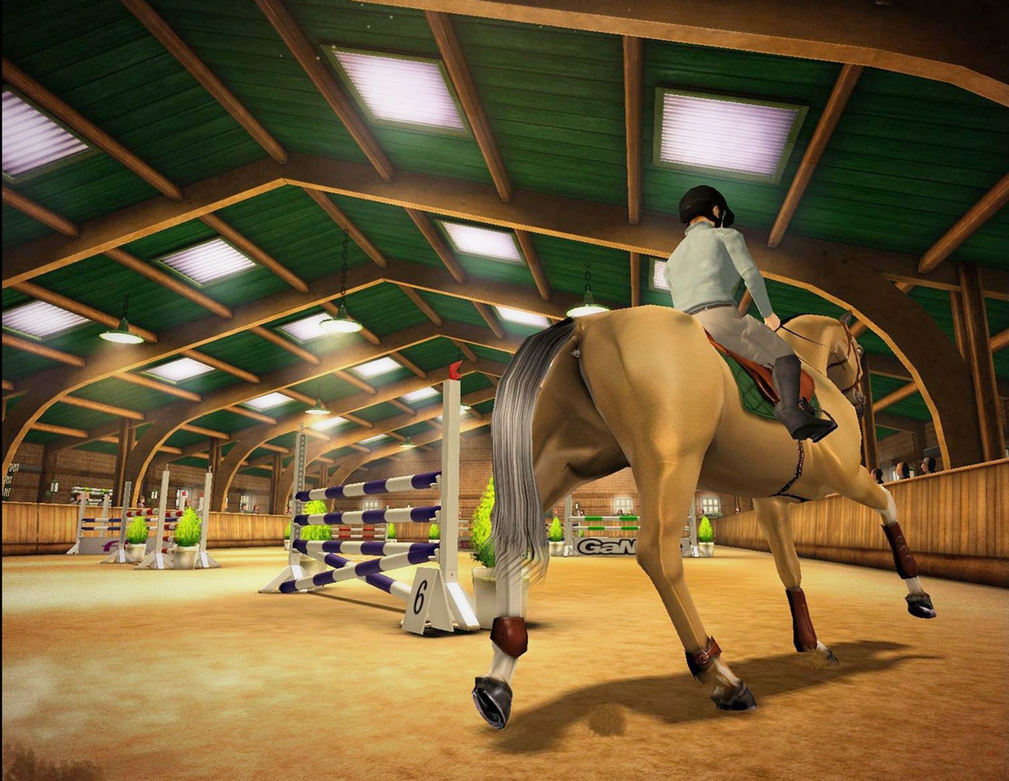 My Horse & Me