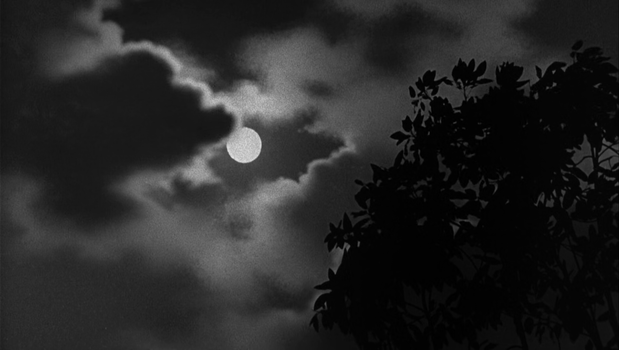 Who's Afraid of Virginia Woolf?