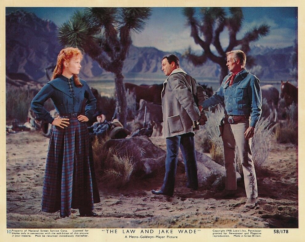 Image of The Law and Jake Wade