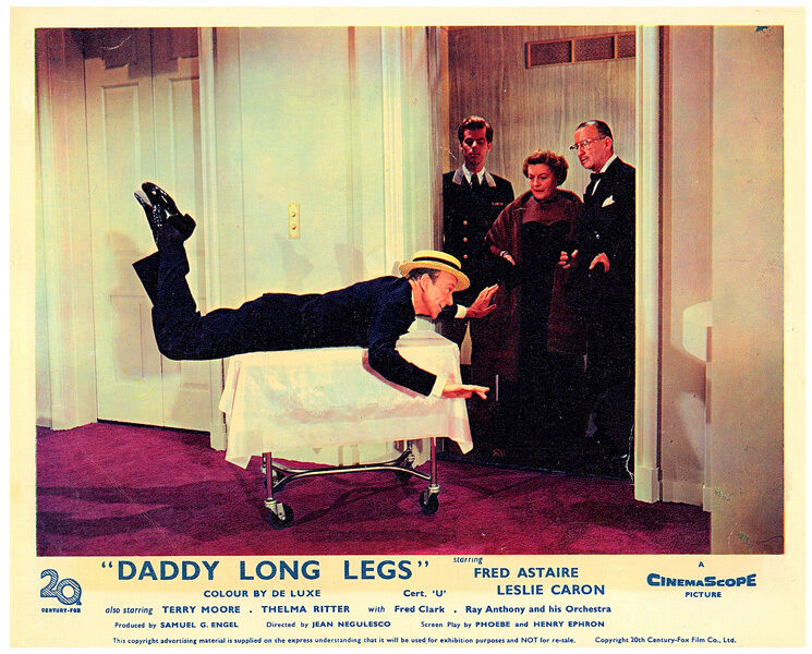 Daddy Long Legs Daddy Long Legs