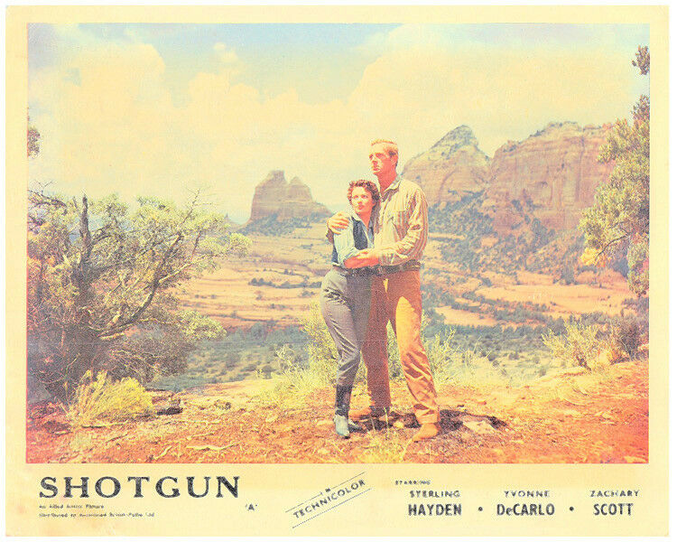 Shotgun Shotgun
