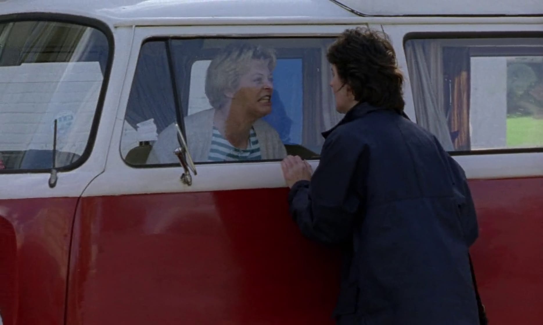 Ladybird Ladybird (1994)
