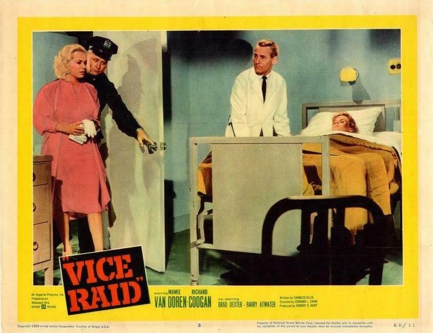 Vice Raid Vice Raid