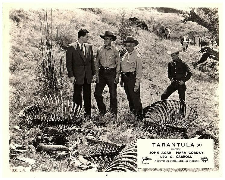 Tarantula