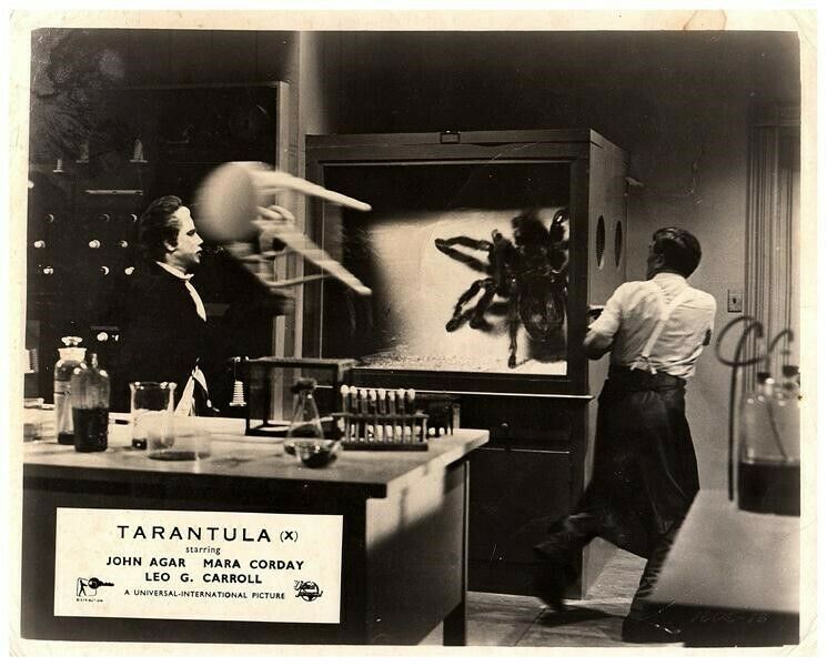 Tarantula