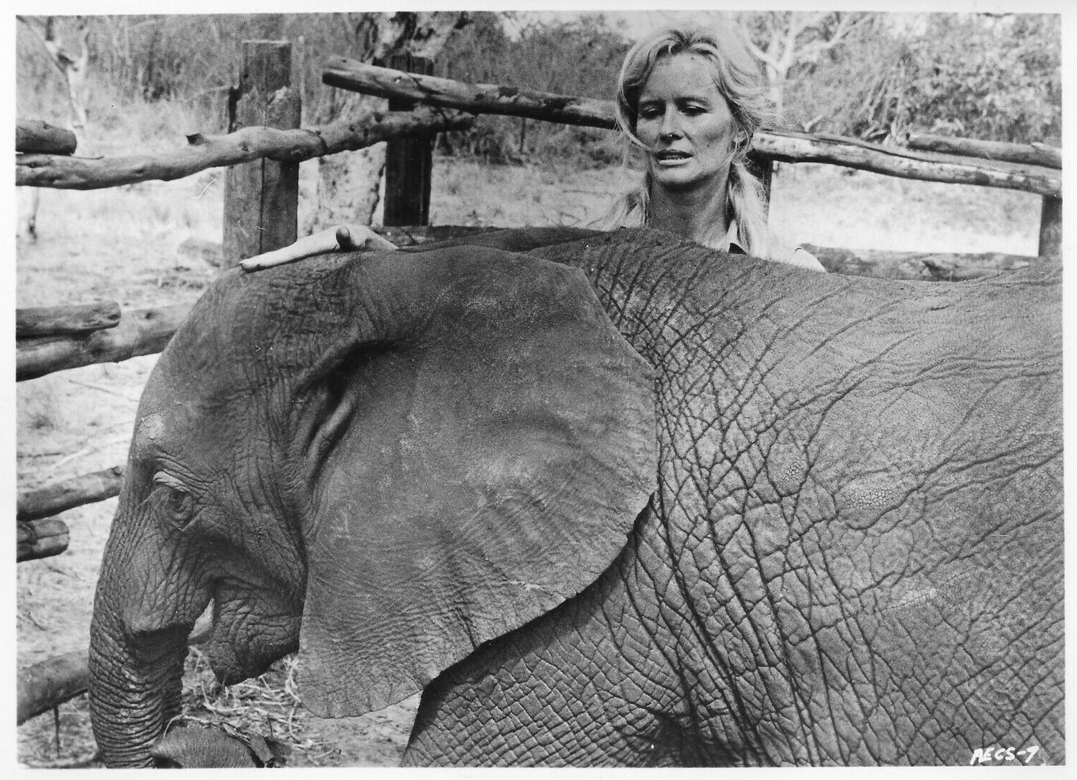 Virginia McKenna