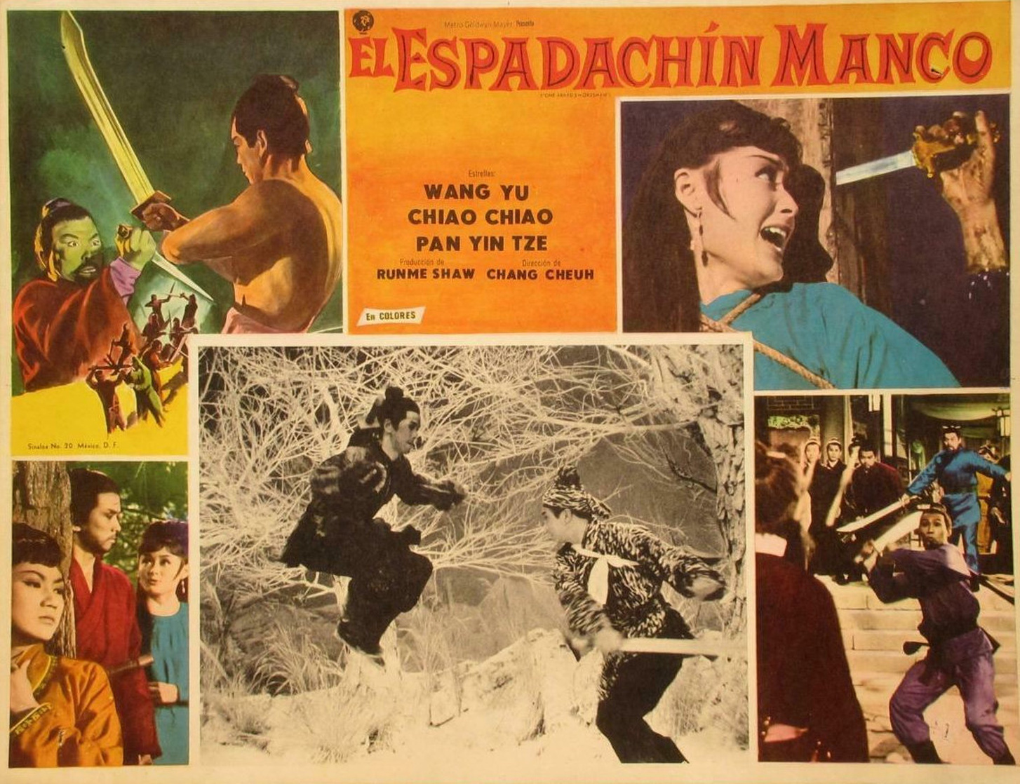 The One-Armed Swordsman (1967)