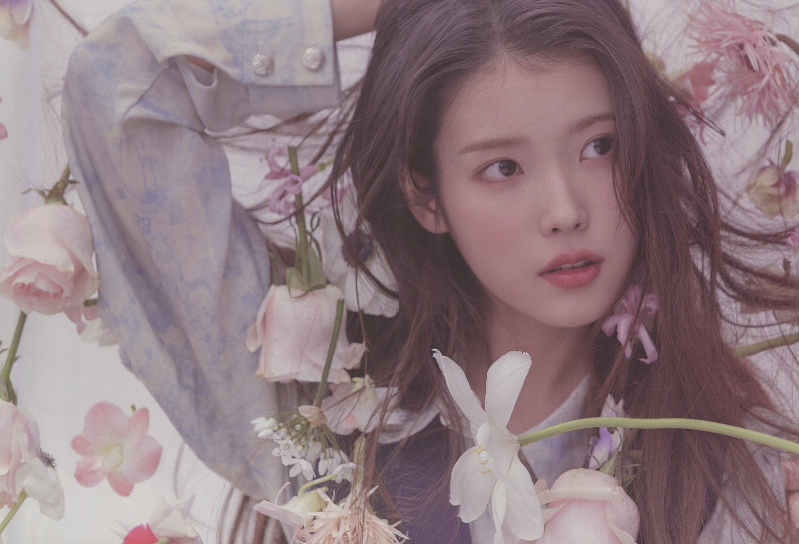 IU IU