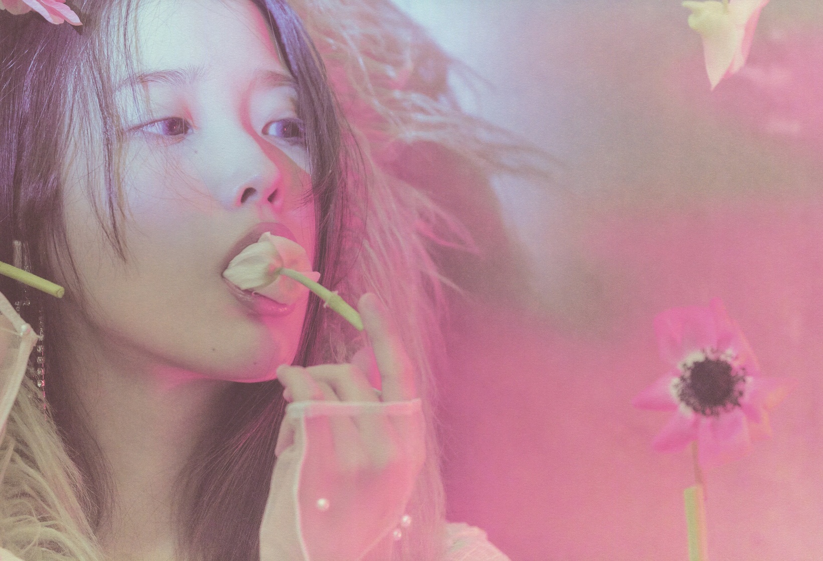 IU