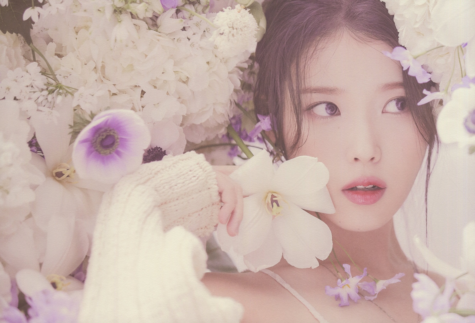 IU IU