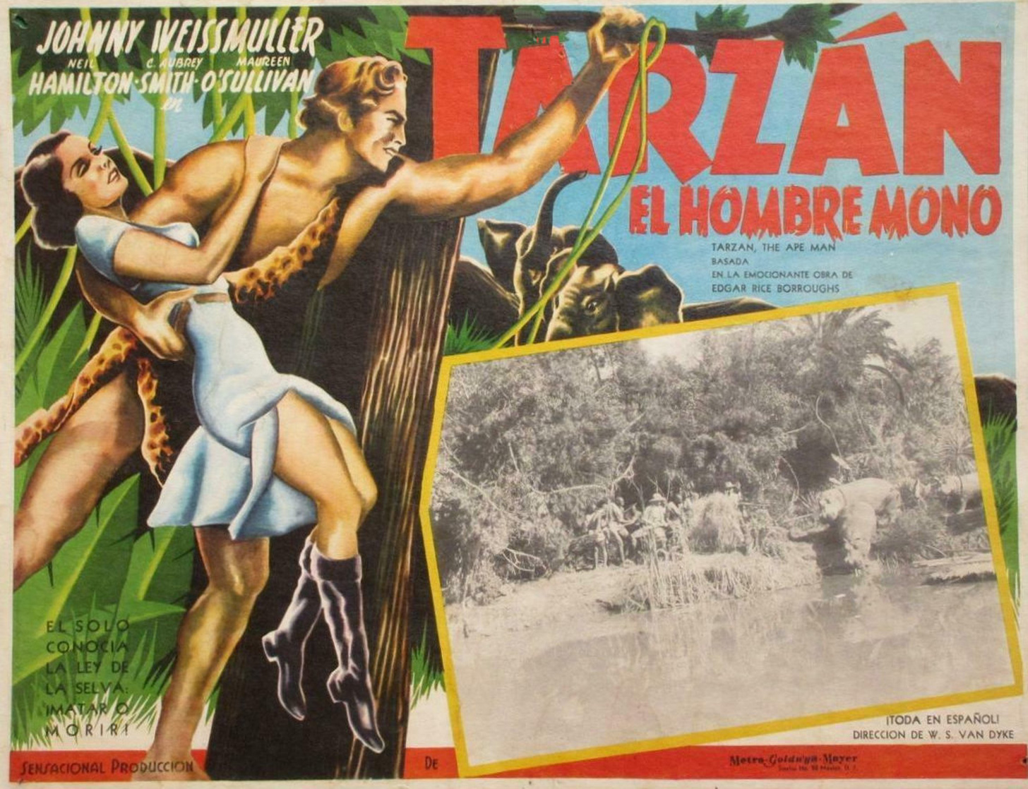 Tarzan the Ape Man (1932) Tarzan the Ape Man (1932)