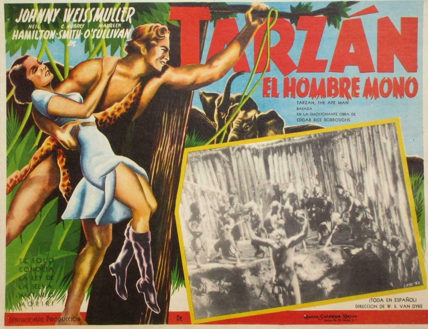 Tarzan the Ape Man (1932) Tarzan the Ape Man (1932)