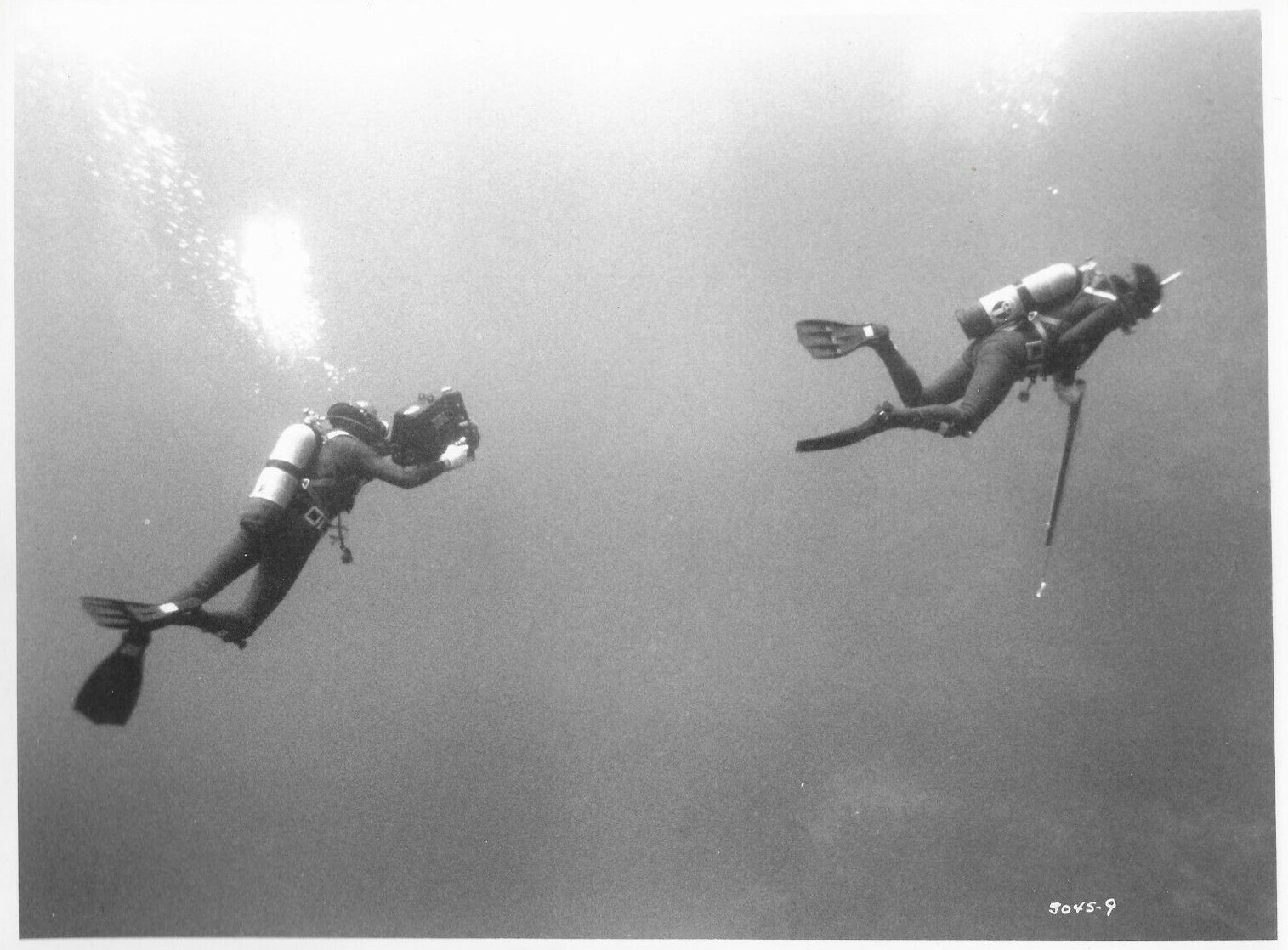 Picture of Blue Water, White Death