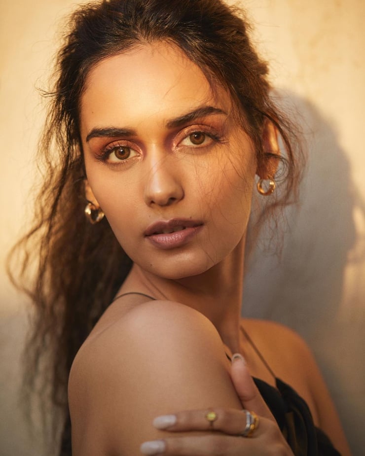 Picture Of Manushi Chhillar 7433