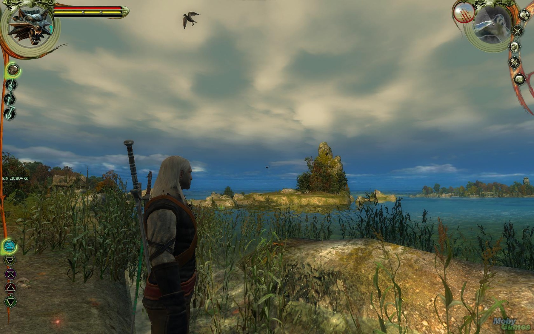 The Witcher