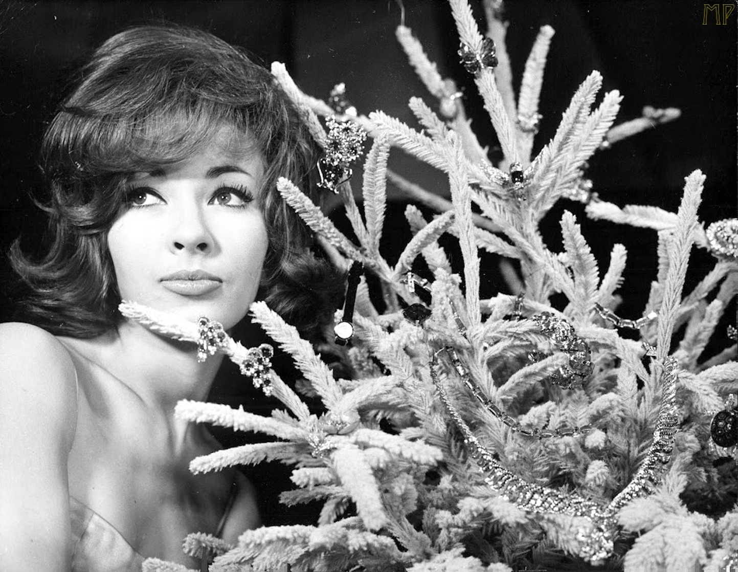 Dany Saval Dany Saval
