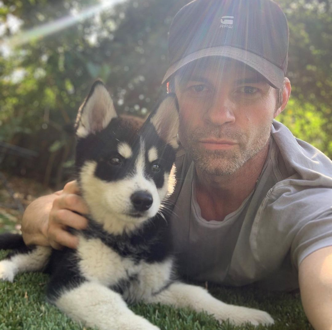 Daniel Gillies
