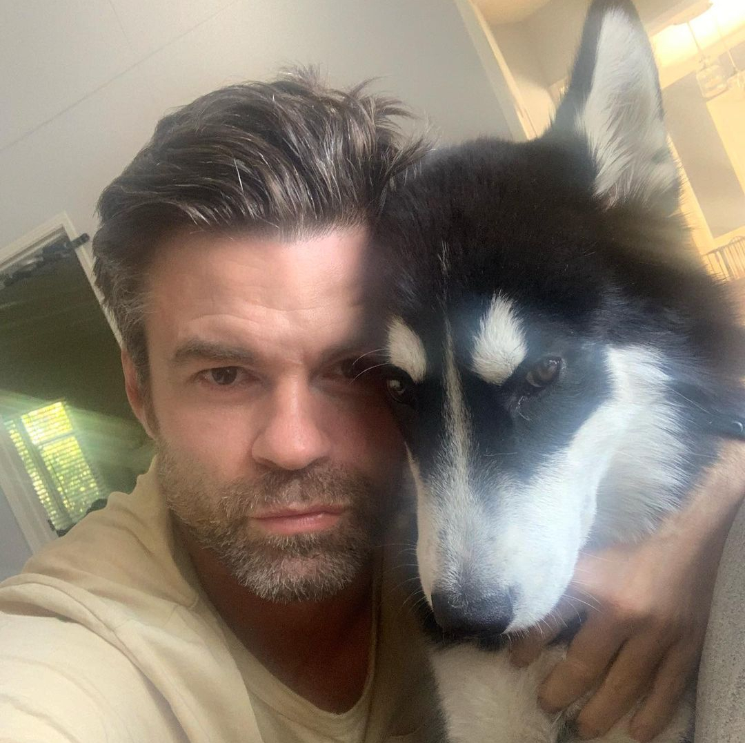 Daniel Gillies