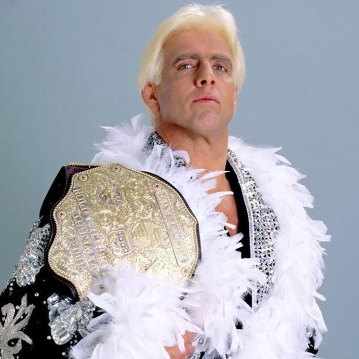 Picture of Ric Flair