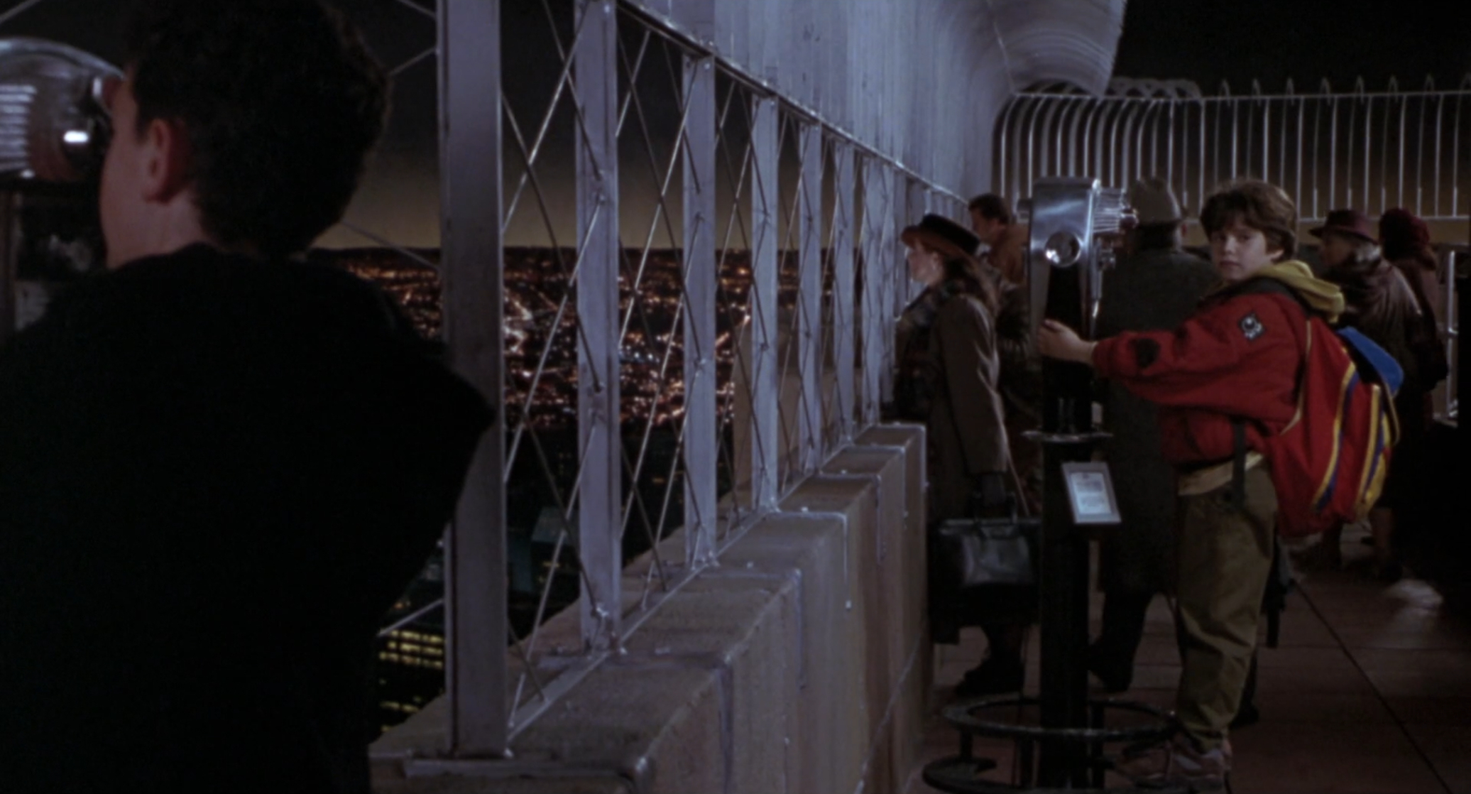 Picture of Sleepless in Seattle (1993)