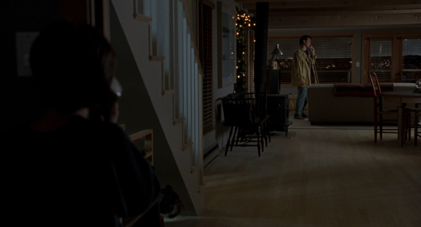 Sleepless in Seattle (1993) image