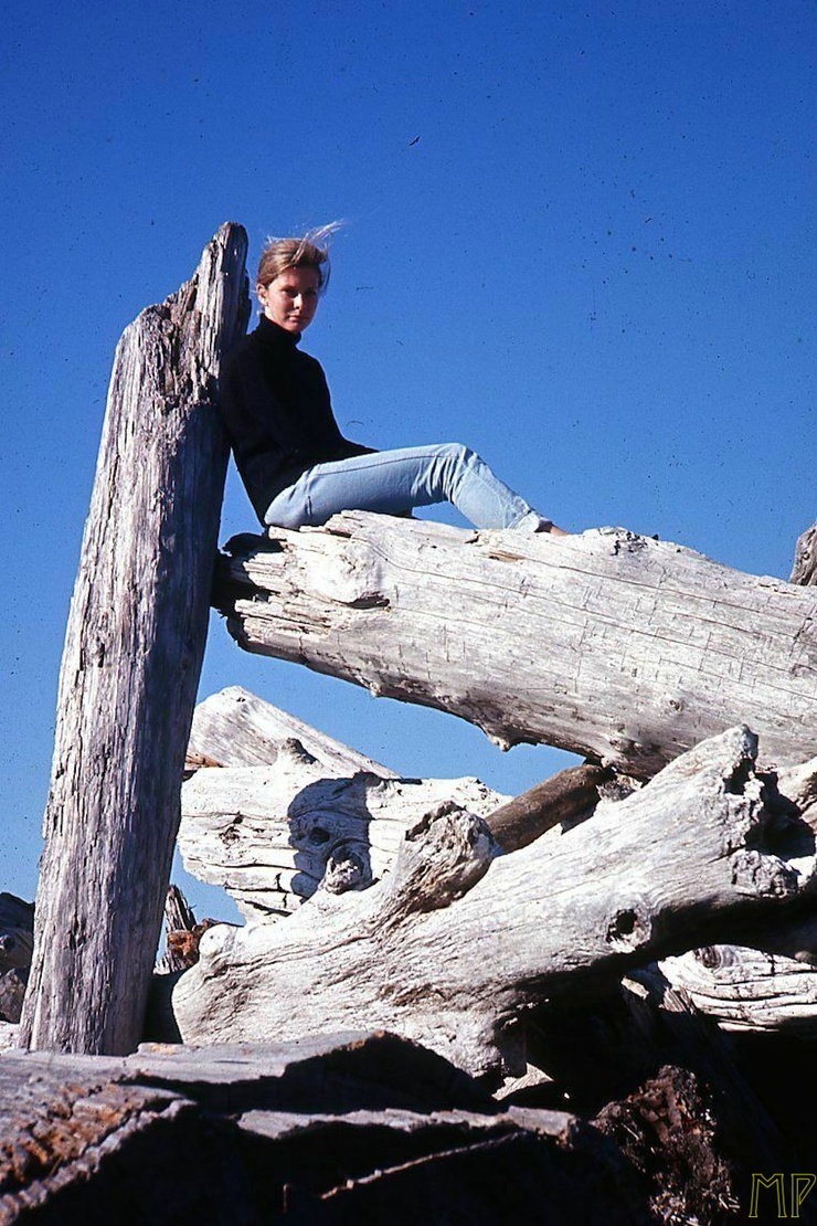 Picture of Rosemary Forsyth