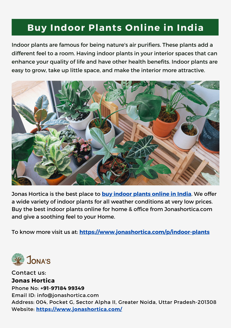 Buy Indoor Plants Online in India