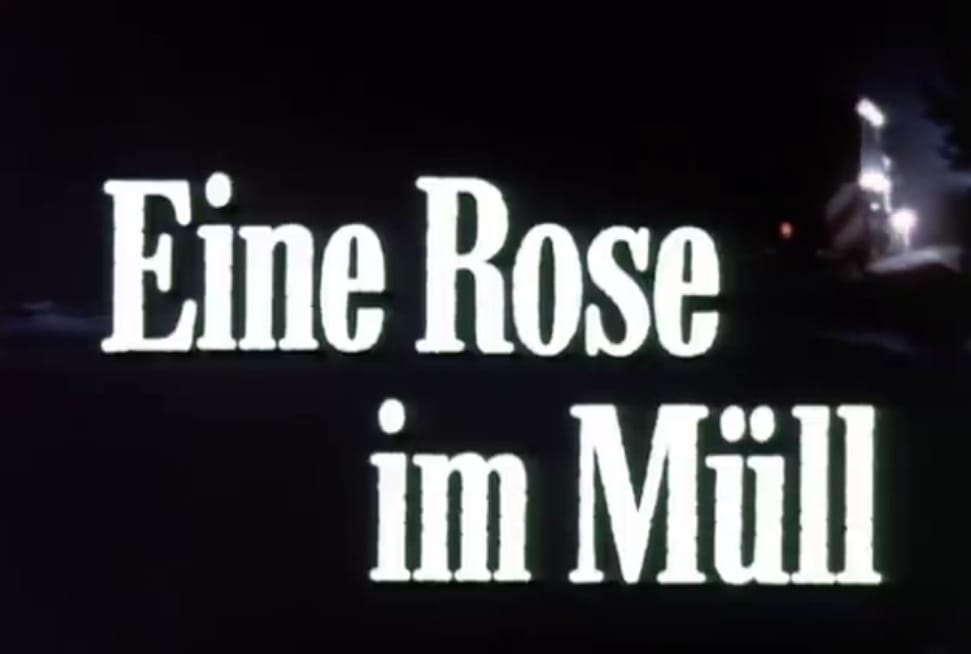 Eine Rose im Müll