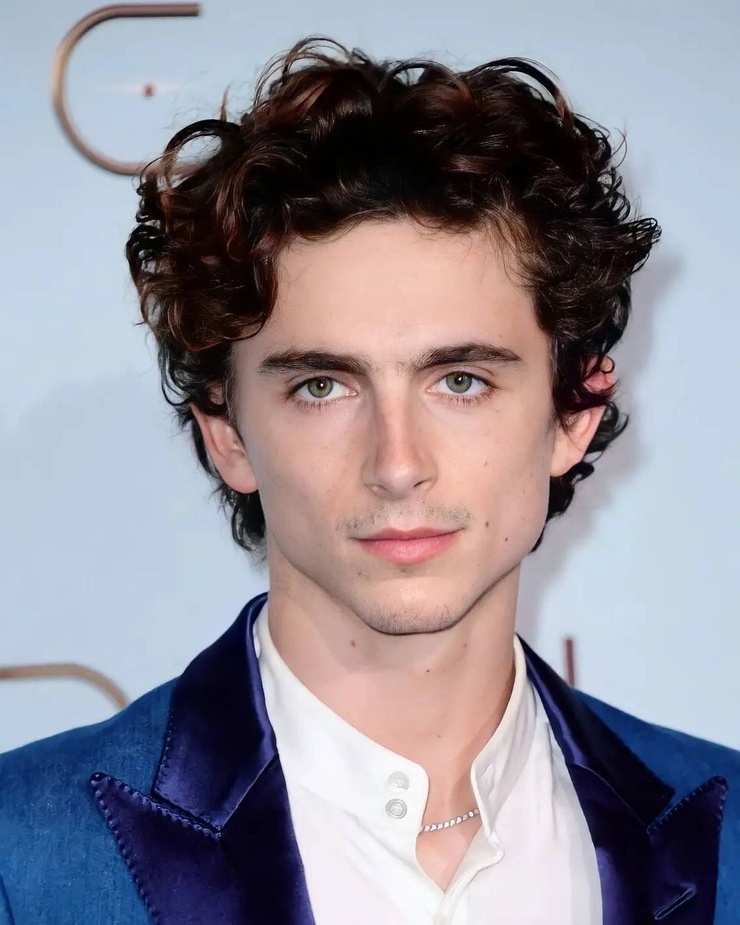 Picture of Timothée Chalamet