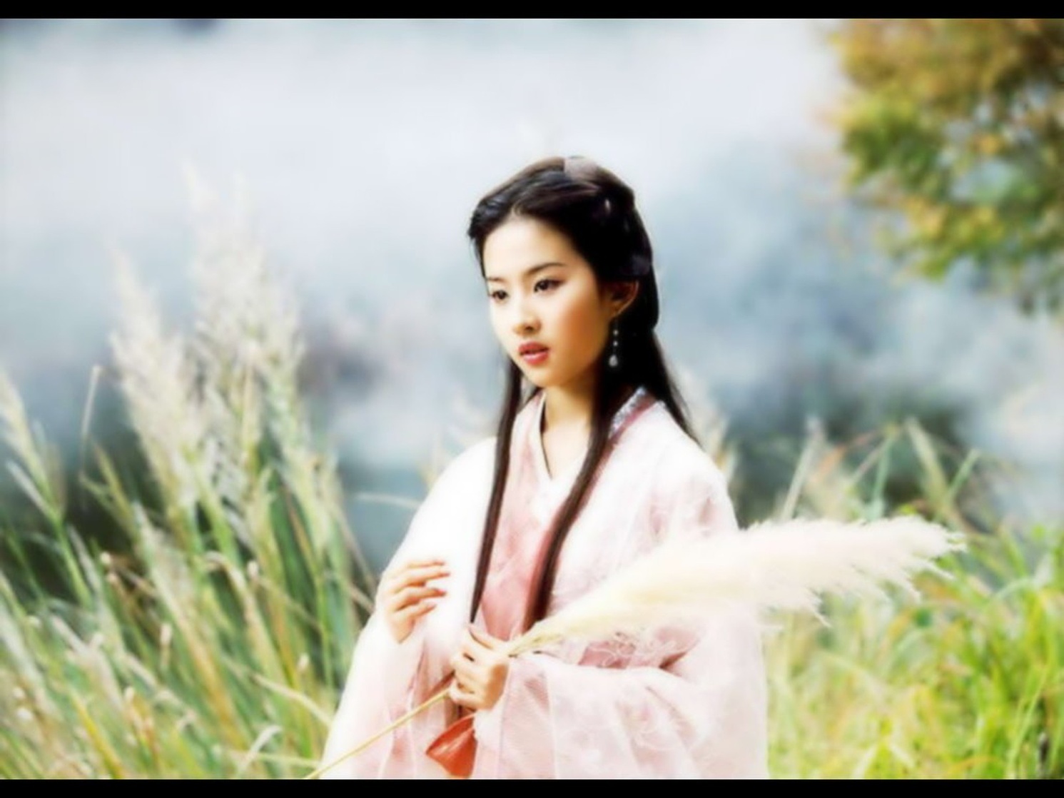 Yifei Liu