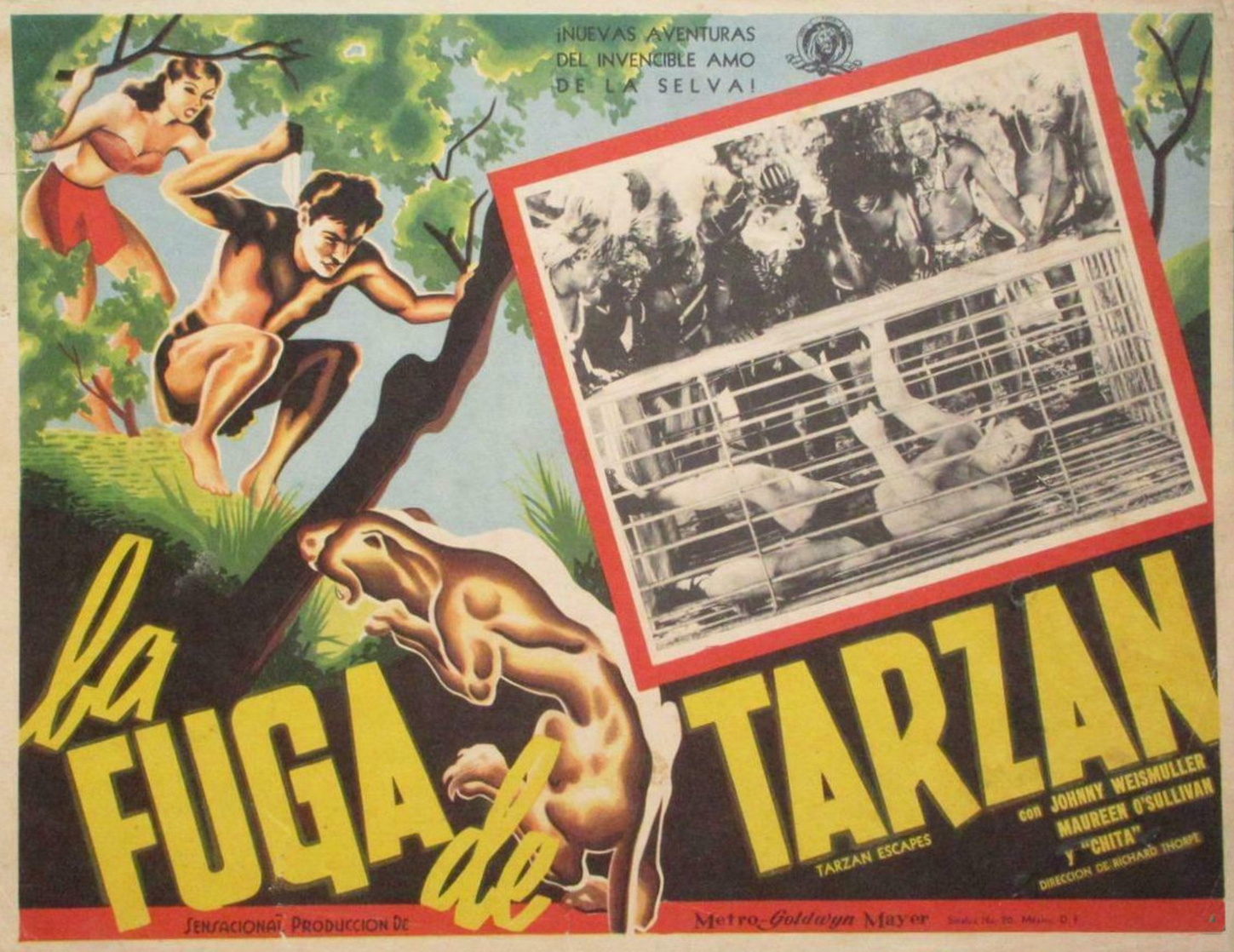 Tarzan Escapes (1936) Tarzan Escapes (1936)