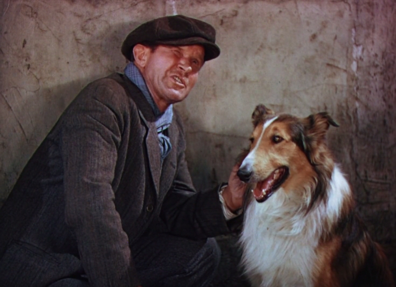 Lassie Come Home Lassie Come Home