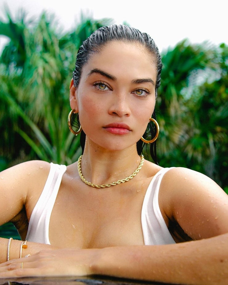 Picture Of Shanina Shaik 