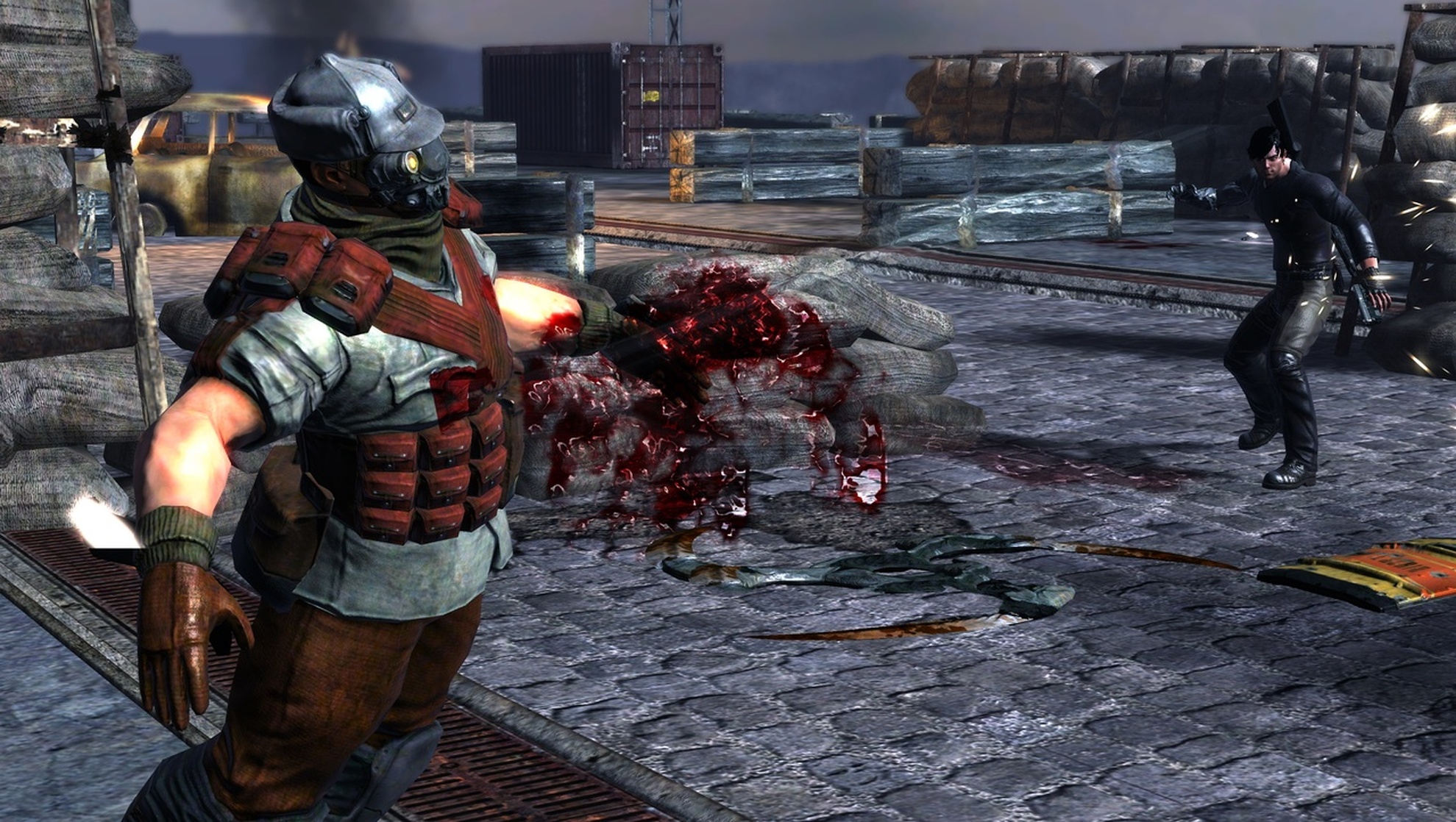 Dark Sector