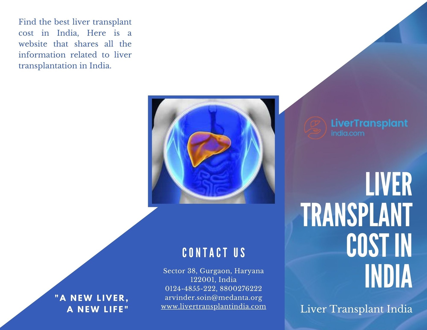 Find Liver Trasplant Cost in India