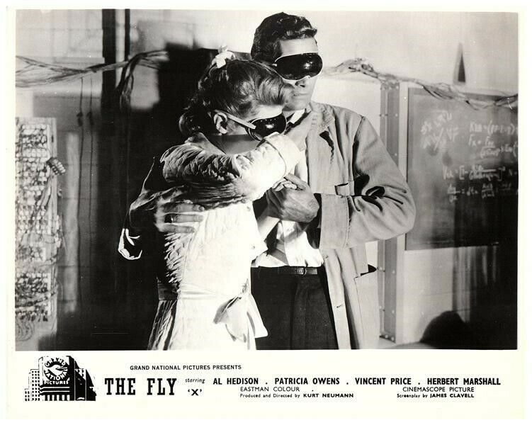 The Fly The Fly