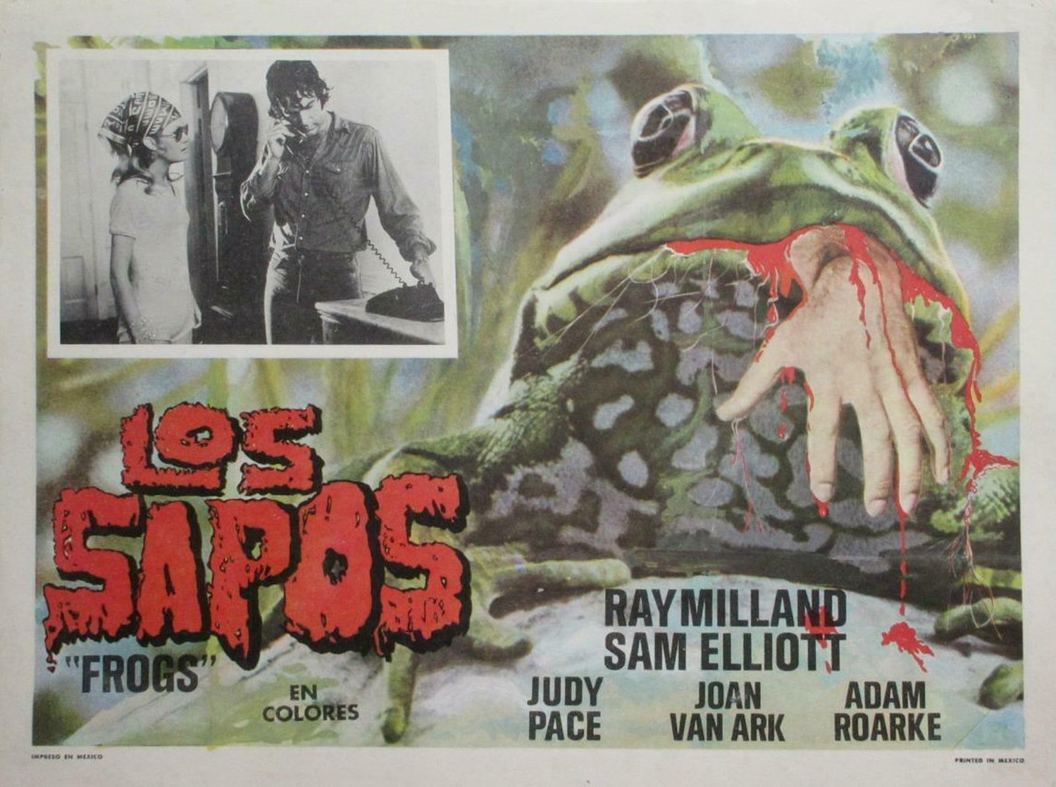 Frogs Frogs