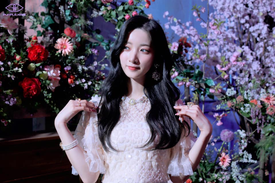 Koyuki Mori Koyuki Mori