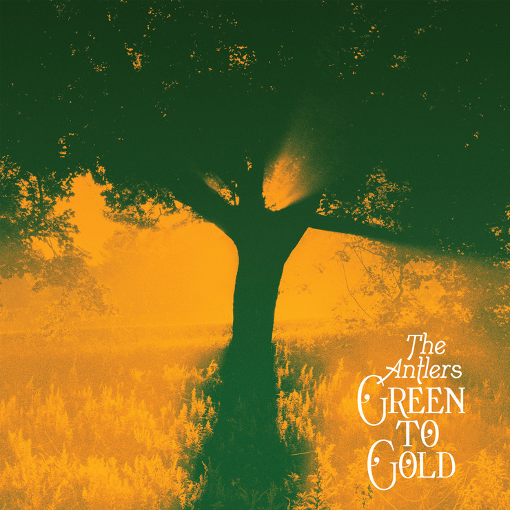 Picture Of Green To Gold Picture Of Green To Gold