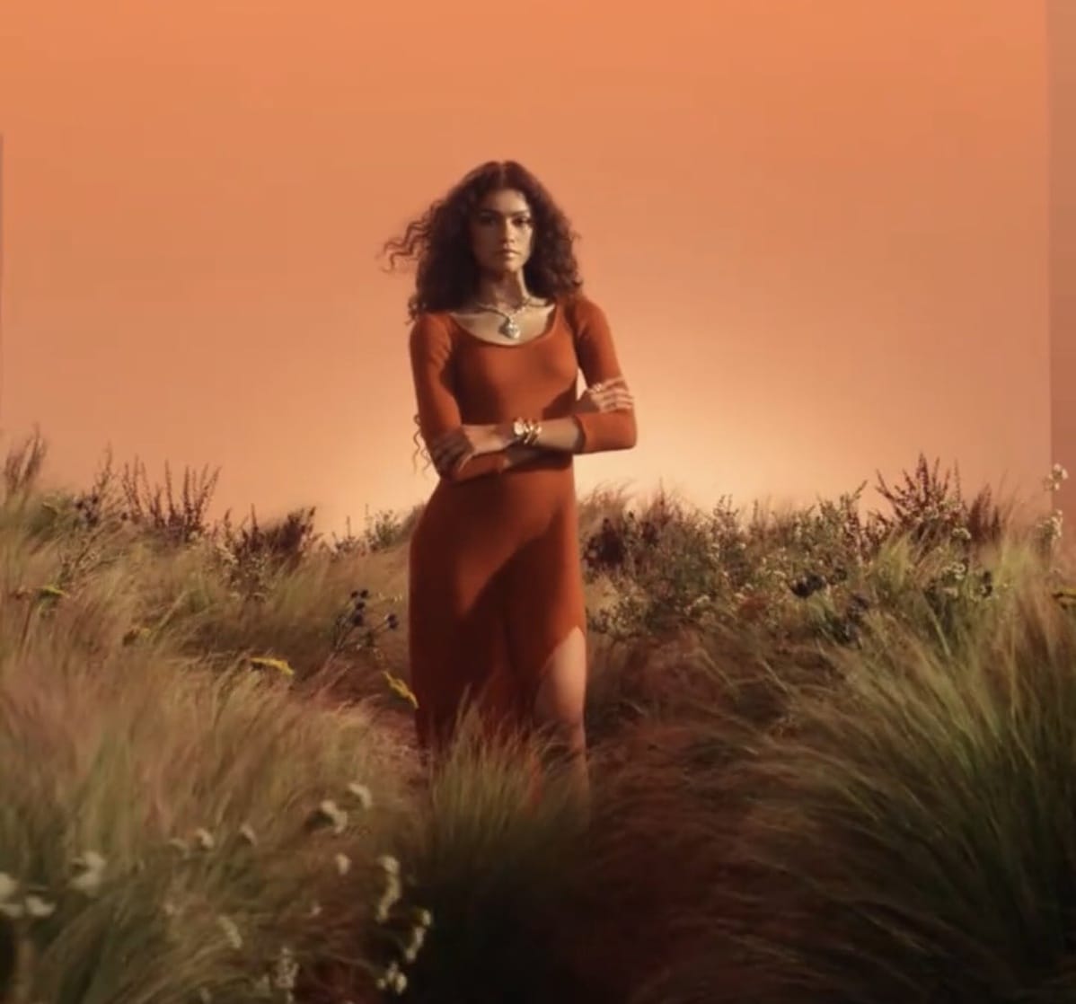 Zendaya Coleman Zendaya Coleman