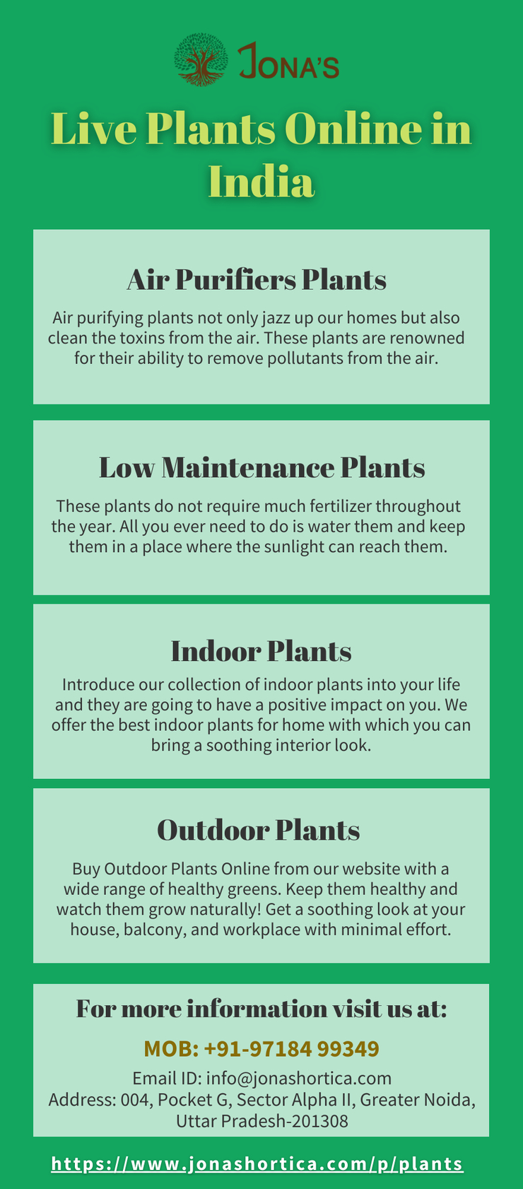 Best Place to Buy Live Plants Online in India