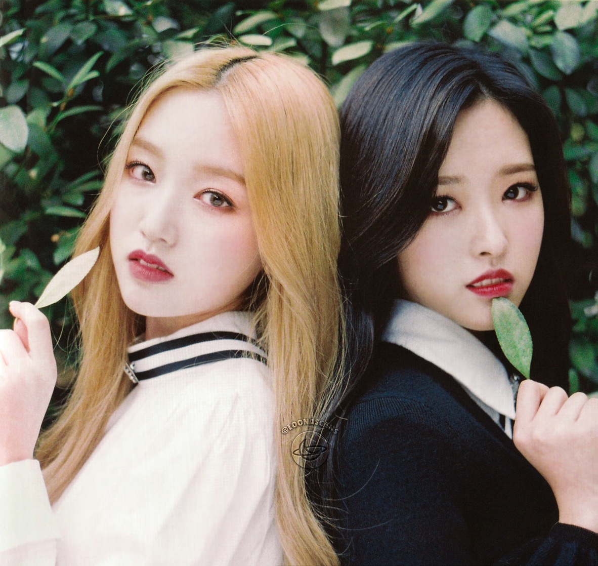 Go Won