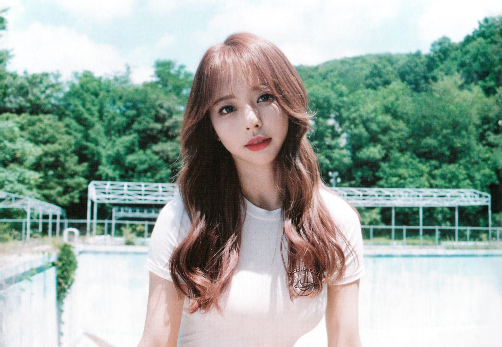 ViVi