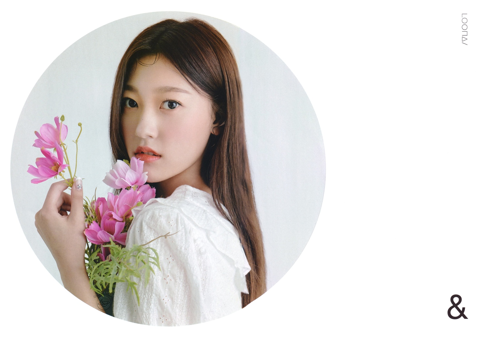 Choerry