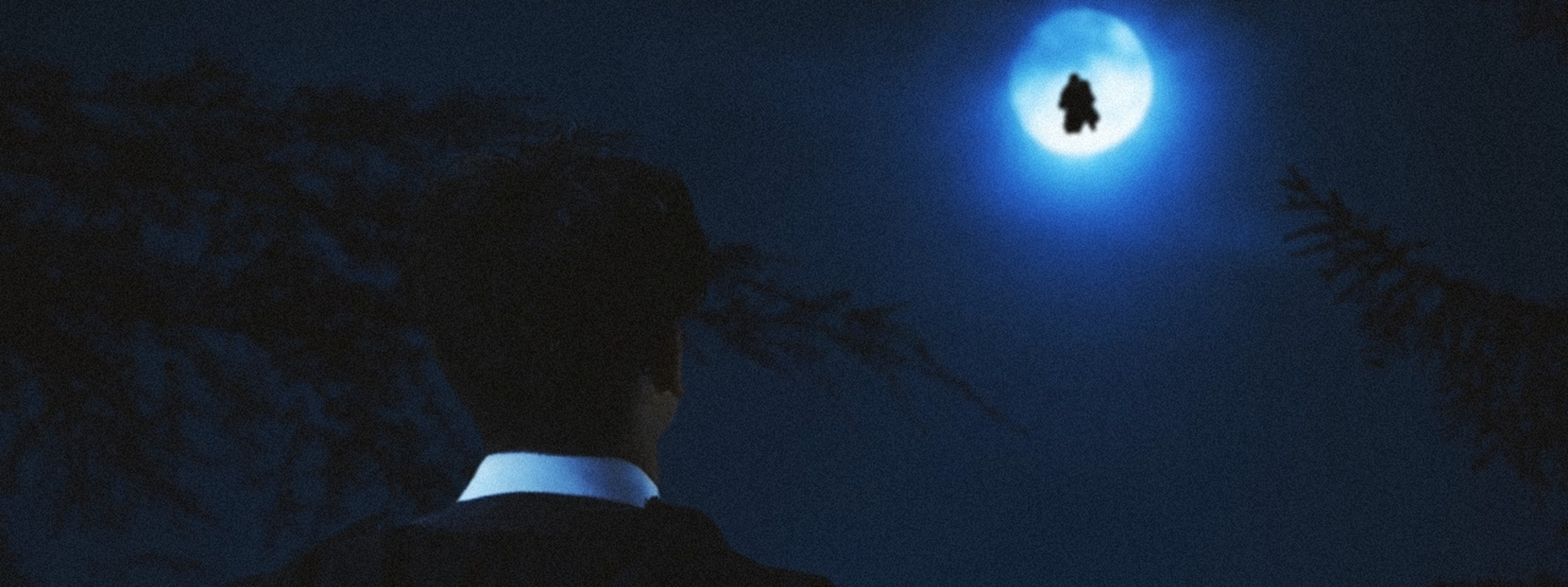 James Potter and the Lost Wand