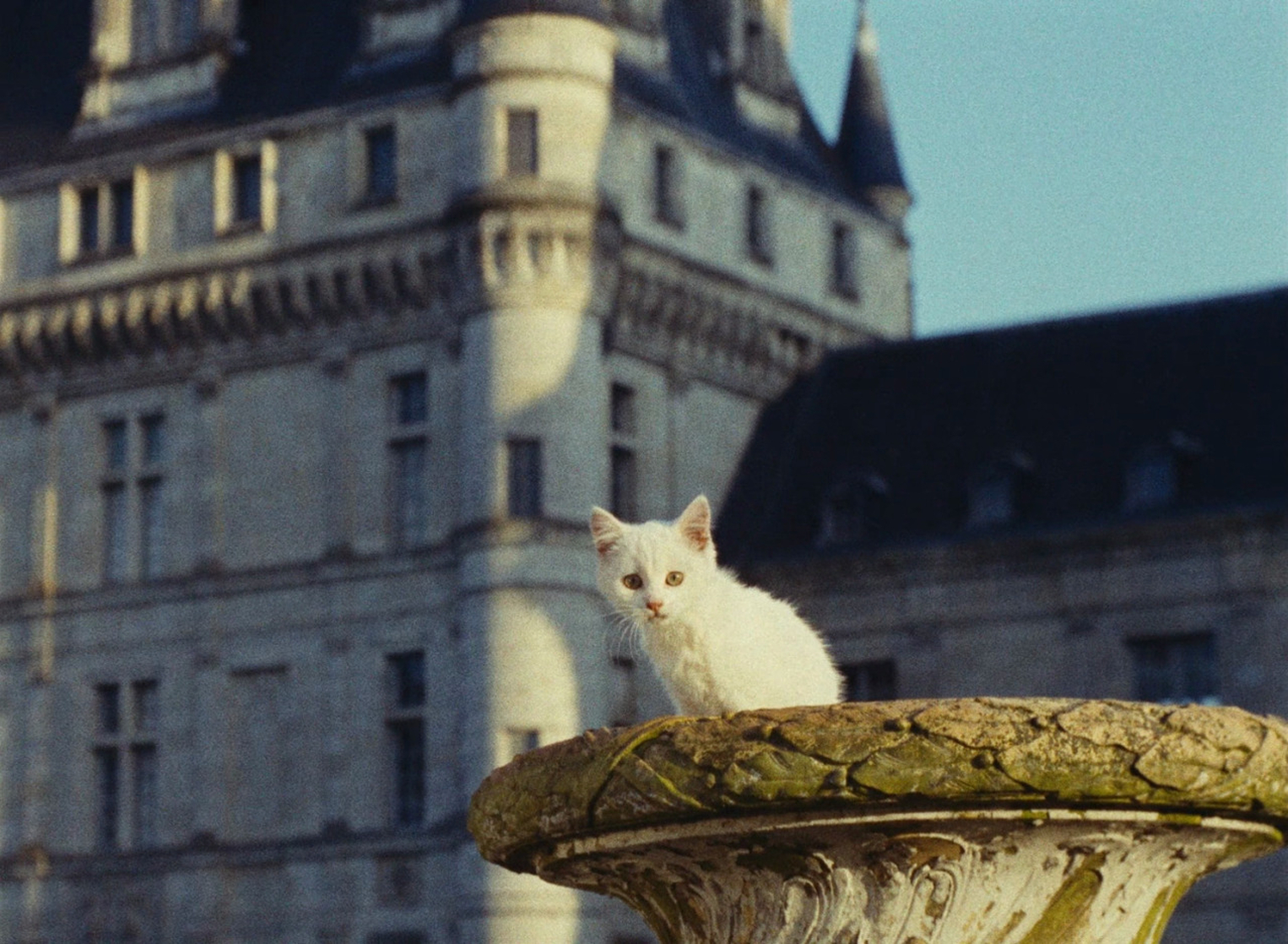 Ô saisons ô chateaux Ô saisons ô chateaux