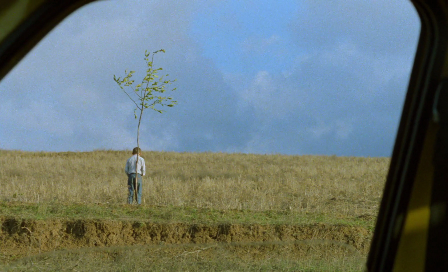 Life and Nothing More (And Life Goes On)