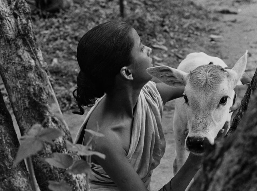Pather Panchali (1955) Pather Panchali (1955)